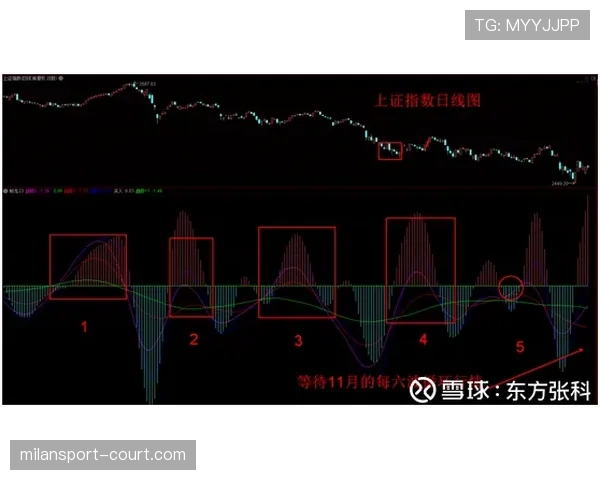 看懂阻挡与防守站位的判定:关键一步区分犯规与否 看懂阻挡与防守站位的判定:关键一步区分犯规与否